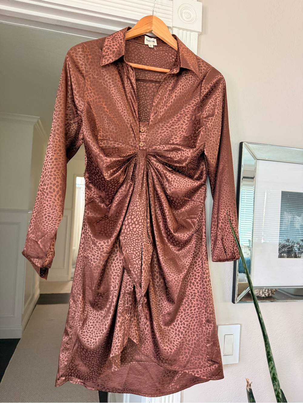 Peach Love California Brown Satin Ruched Long Sleeve Dress